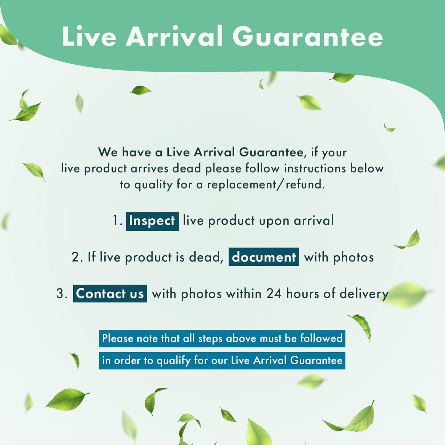 Anubias Live Aquarium Plants - Potted Freshwater Plant for Fish Tanks, Terrariums - Beginner Friendly Low Light (Congensis, Mother Plant)