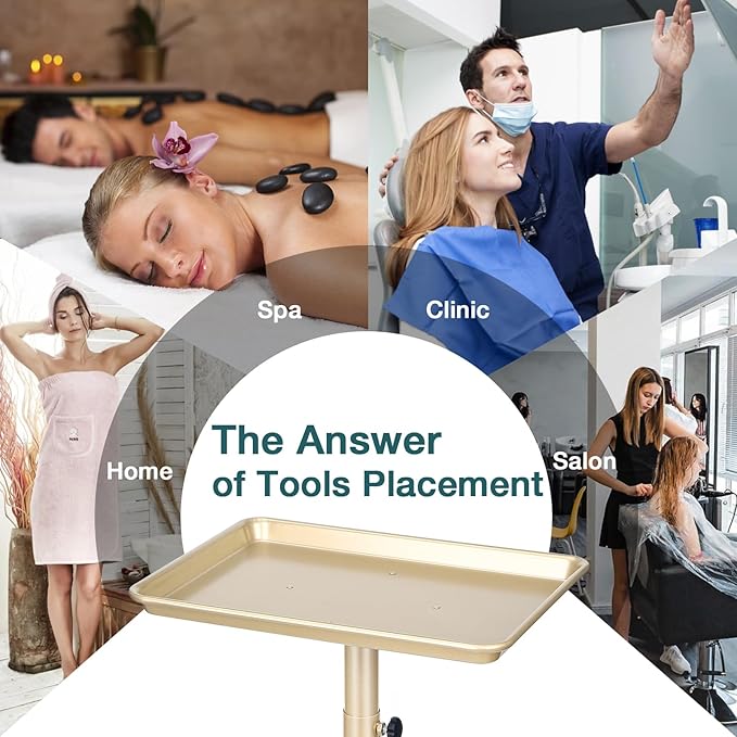 Salon Tray on Wheels, Champagne Gold Salon Tray Cart with Adjustable Height, Hair Stylist Tray, Metal Tattoo Tray, Suitable for SPA and Dental Tray