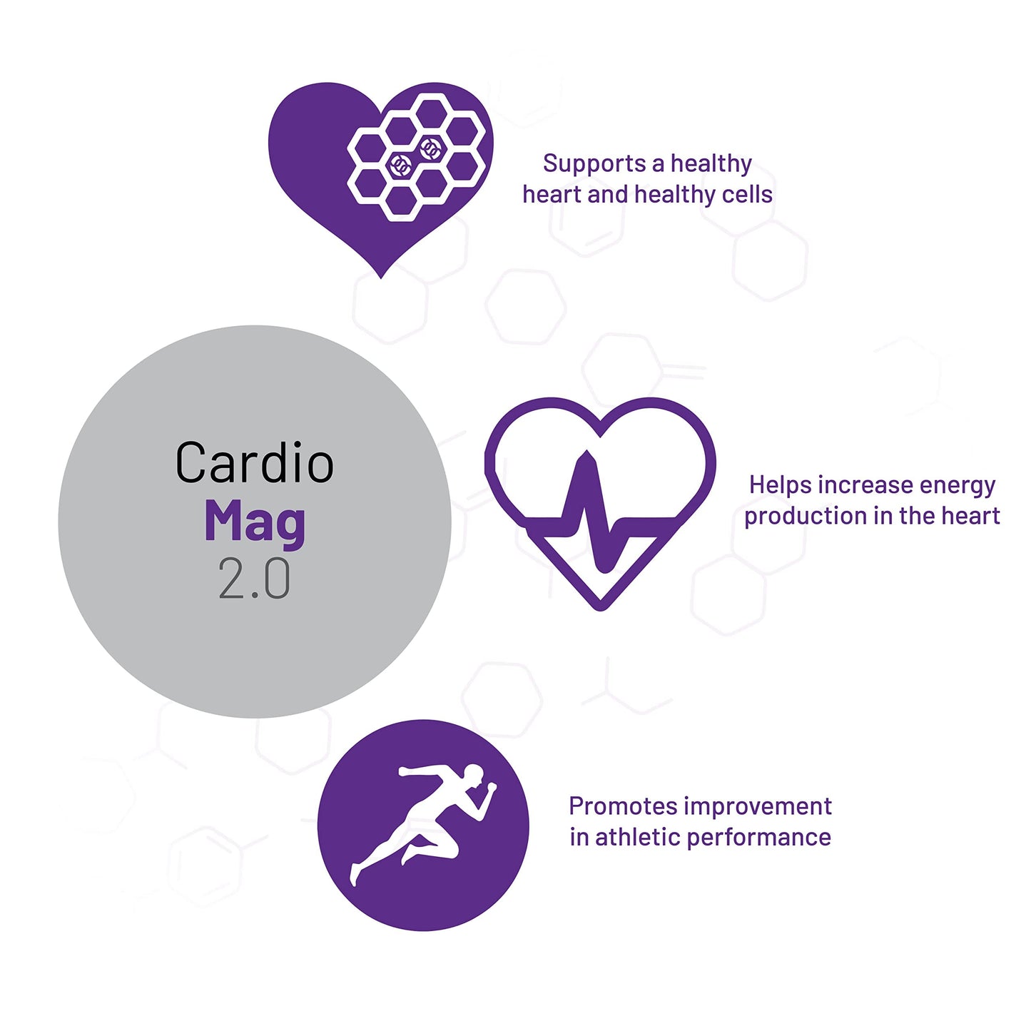 AOR, Cardio Mag 2.0, Supports a Healthy Heart, Muscle Function and Energy, Magnesium Supplement, 30 servings (120 capsules)