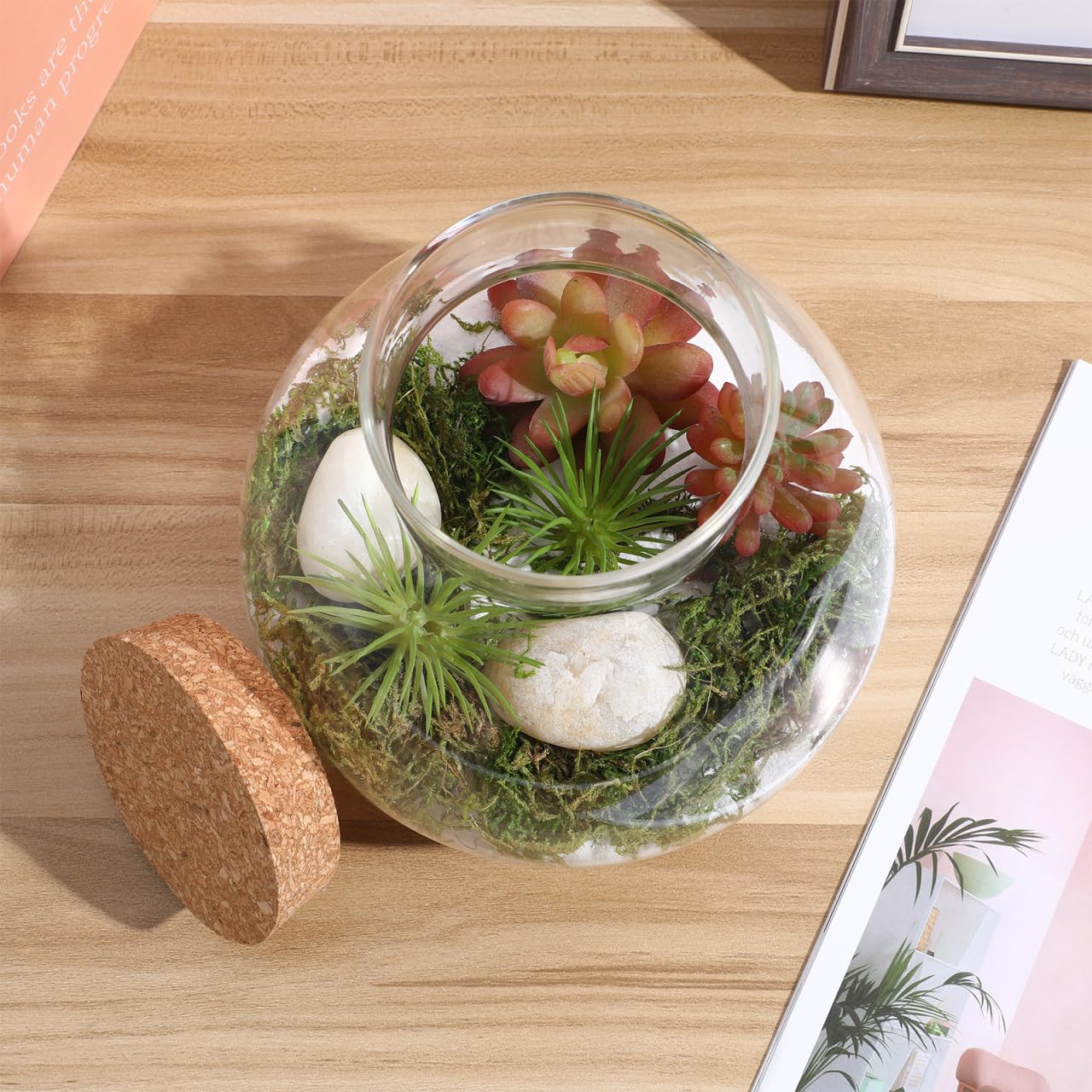 Toddmomy Glass Terrarium Bottle with Cork Lid, Closed Micro Landscape Round Jar, Desktop Moss Container for DIY Fairy Garden and Plant Ecosystem