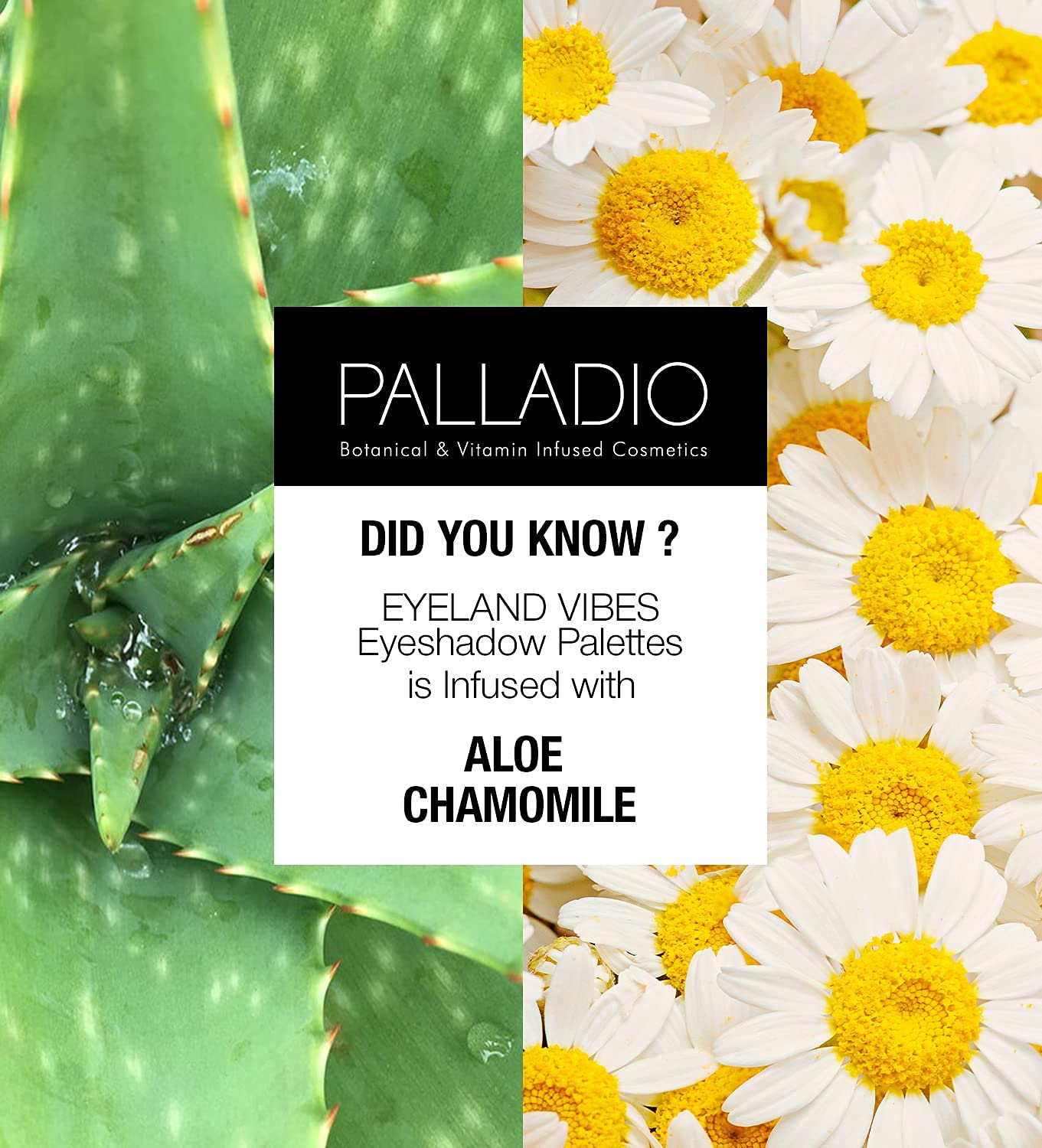 Palladio Eyeland Vibes, Escape to the Tropics, 10 Count Eyeshadow Palette, Seductive Nudes to Vibrant Hues, Complimentary Shades