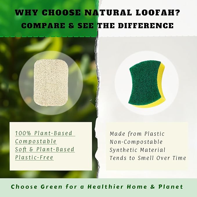 Natural Loofah Dish Sponge,Compostable, Kitchen Sponge,All-Purpose,Non-Toxic,Plant-Based,Eco-Friendly (Pack of 15)