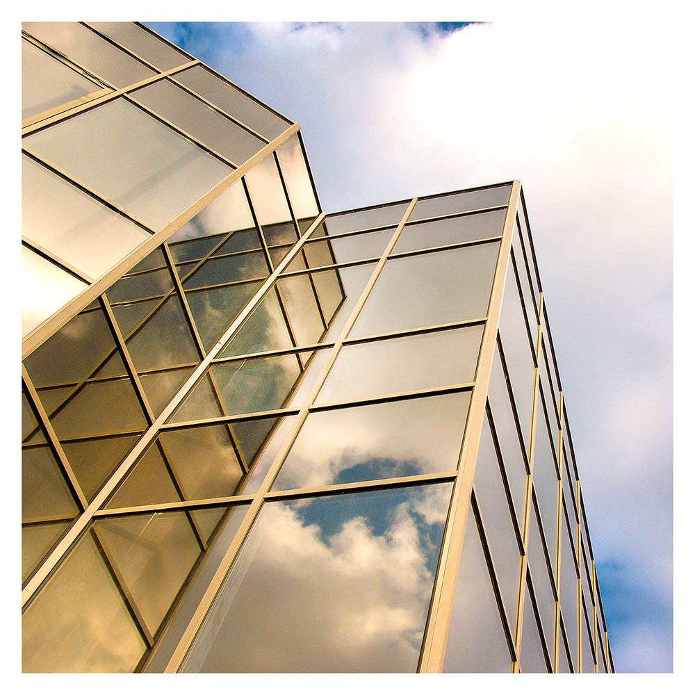 BDF PRGD Window Film Premium Color High Heat Control and Daytime Privacy Gold Outside, Silver Inside - 36in X 14ft