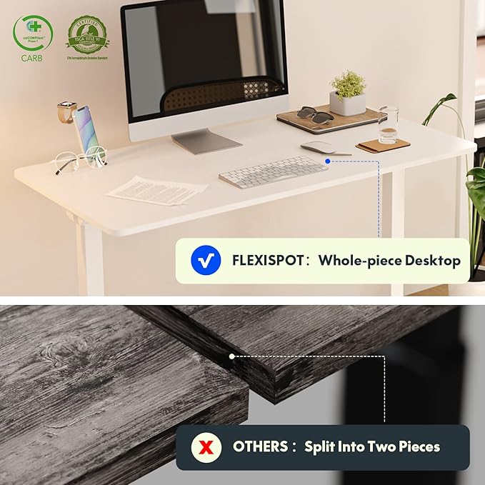 FLEXISPOT EN1 One-Piece Standing Desk 48 x 24 Inches Height Adjustable Electric Sit Stand Up Desk Home Office Desk