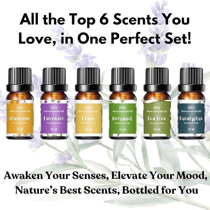 Essential Oils for Laundry | 100% Pure Therapeutic Grade Aromatherapy Essential Oil Set - Top 6 | Dryer Balls, Diffusers, Soaps, Candles | Lavender, Tea Tree, Eucalyptus, Bergamot, Lemon, Chamomile