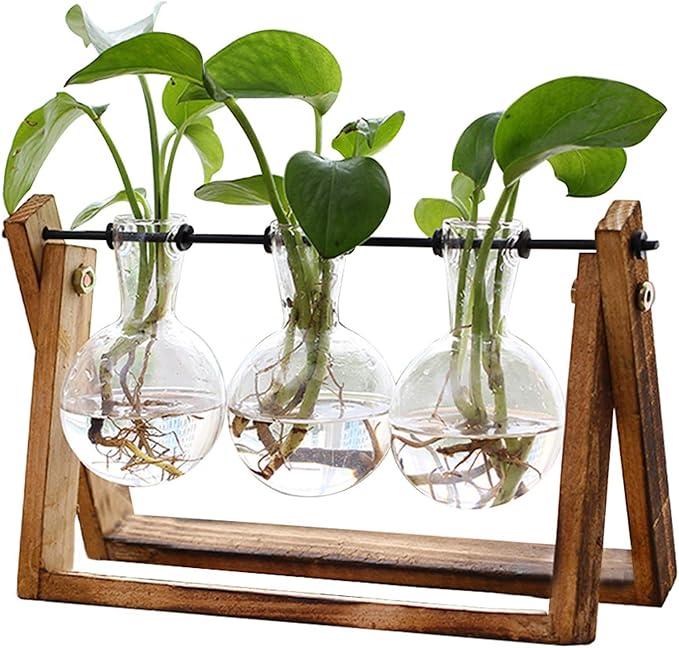 XXXFLOWER Plant Terrarium with Wooden Stand, Air Planter Bulb Glass Vase Metal Swivel Holder Retro Tabletop for Hydroponic...