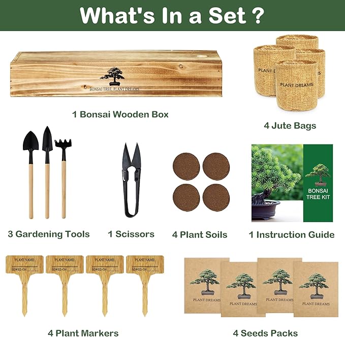 Bonsai Tree Kit, Complete Bonzai Tree Starter Kits with Tools, Valentines Day Gifts for Her Him, Unique Christmas Birthday Gardening Gifts for Women Mom Men Grandkids, Crafts Hobby Kits