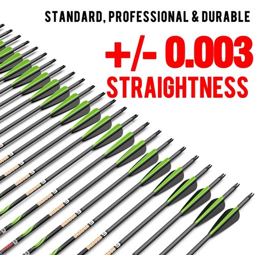 sanlida 24 PCs, 100% Pure Carbon, 0.003'' Straightness, Dragon 9 Flagship 24T Carbon Hunting Arrows for Compound Bow, Professional Standard Hunting Arrows with Removable Tips (290 Spine)