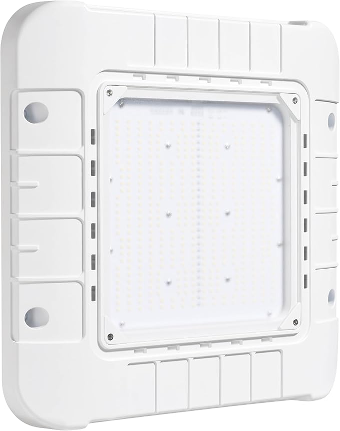 Parmida LED Canopy Light, Wattage Selectable (200/250/300W), ETL, 0-10V Dimmable, 100-277VAC, IP65 Waterproof, 5700K, 16....