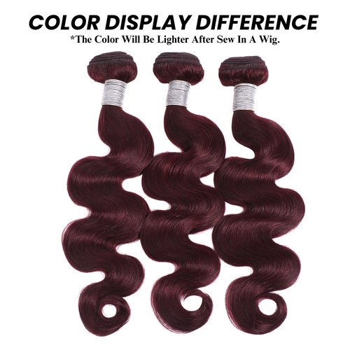ALHER 99j Body Wave 1 Bundle Human Hair 24 Inch