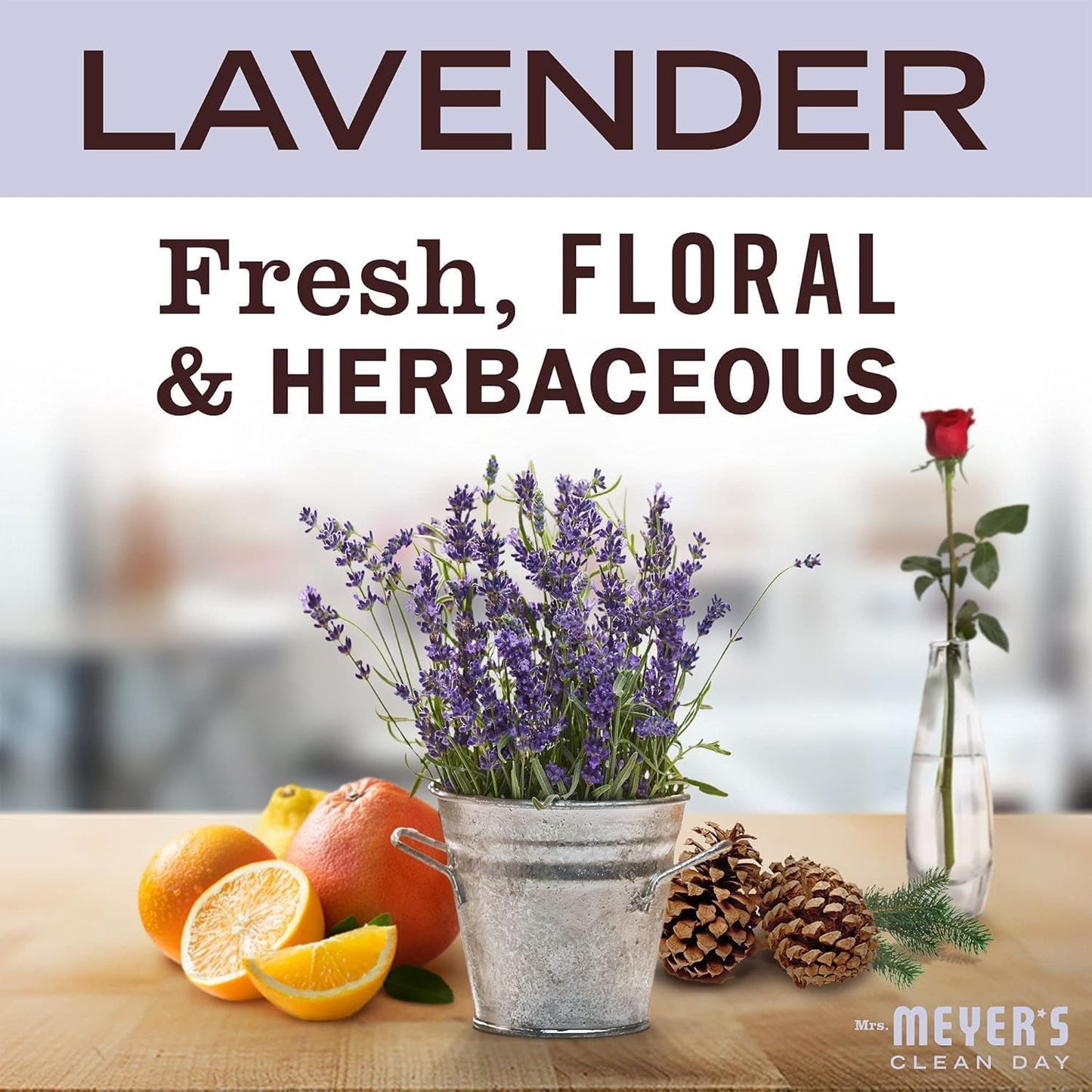 MRS. MEYER'S CLEAN DAY Liquid Dish Soap, Cruelty Free Formula, Lavender Scent, 16 oz- Pack of 6