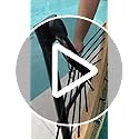 Tranquillo Sturdy Steel Hammock with Stand Premium Cotton Canvas Hammock, 600 lbs Capacity Hammock Stand Folding, Portable...