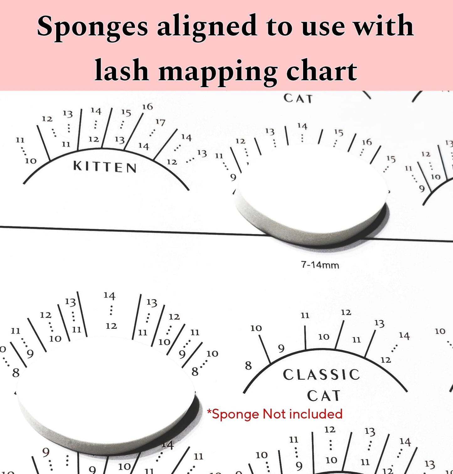 LEES A.M. 1 PC Lash Mapping Chart Eyelash Extension Beginner Training Practice Chart Lash Map Supply Kit, Beginner Eyelash Exten