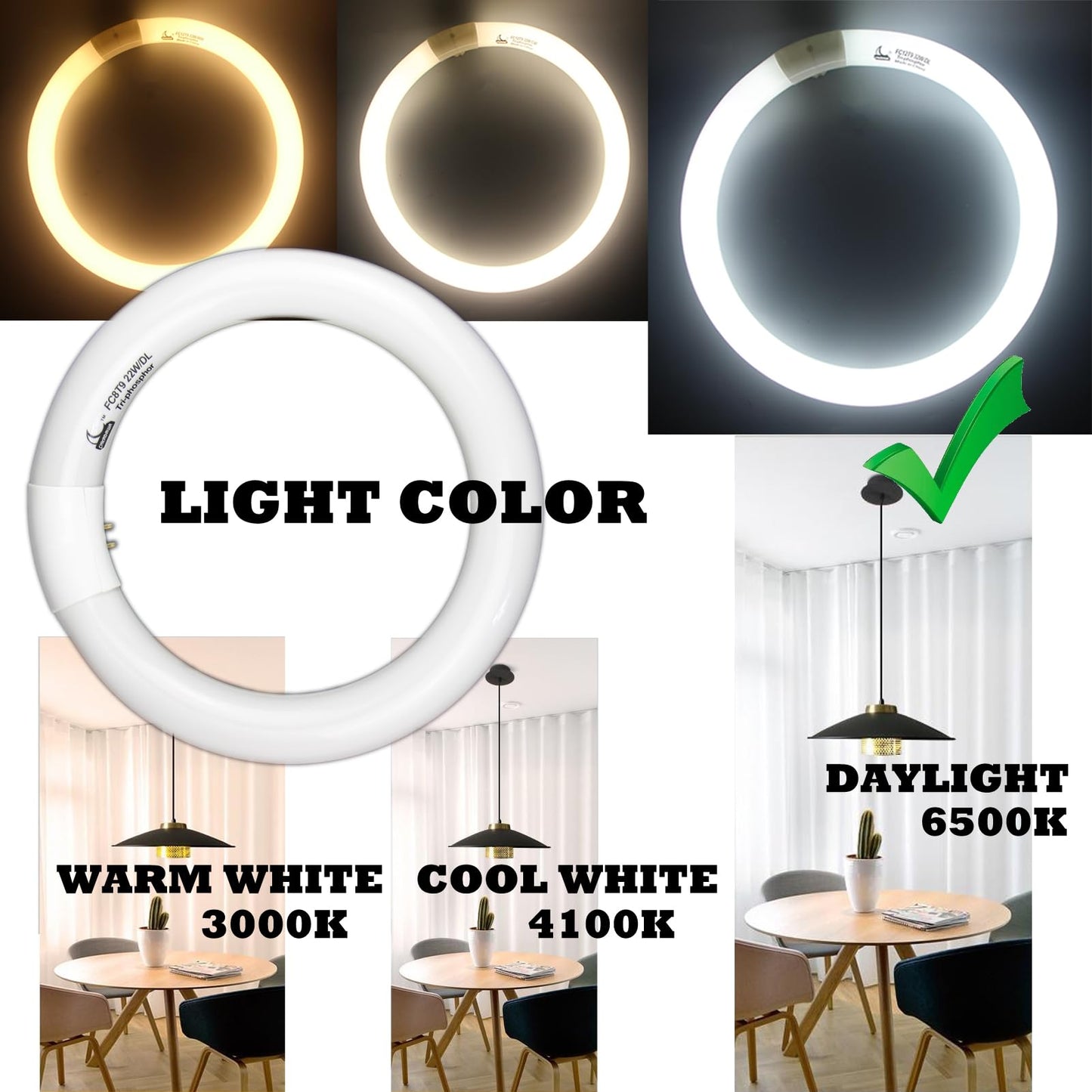 CHKADAWA Circular Bulb FC8T9/DL, 8 Inch T9 22W Circline Fluorescent Light Bulbs, Replacement Round Fluorescent Lamp Tube, Bright Daylight 6400K 1250 Lumens, G10q 4 Pin Base, 2 Pack