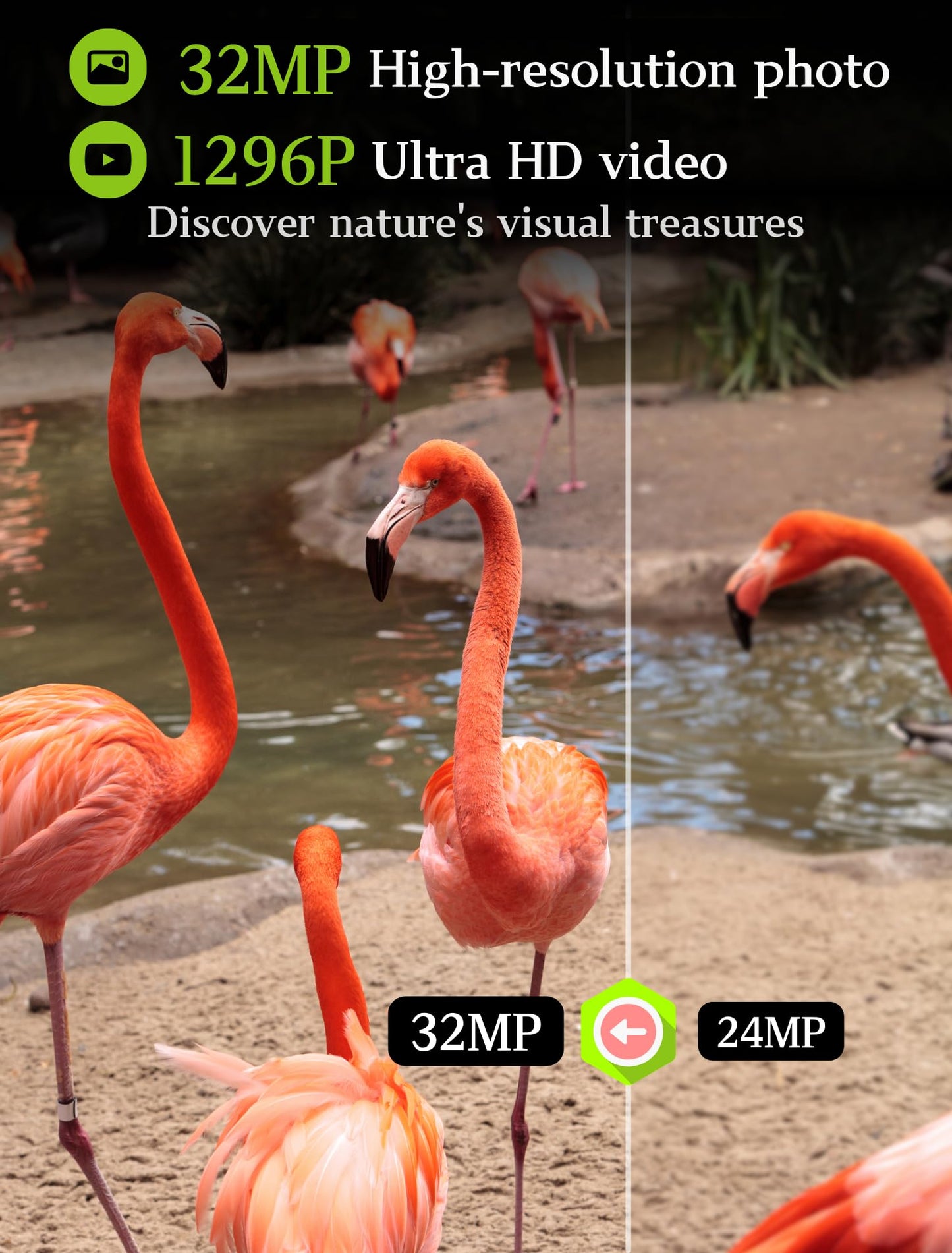 5-Pack Game & Trail Cameras 32Mp 1296P 75Ft Night Vision Time Lapse Wildlife Deer Hunting Cams No Glow Infrared Motion Activated