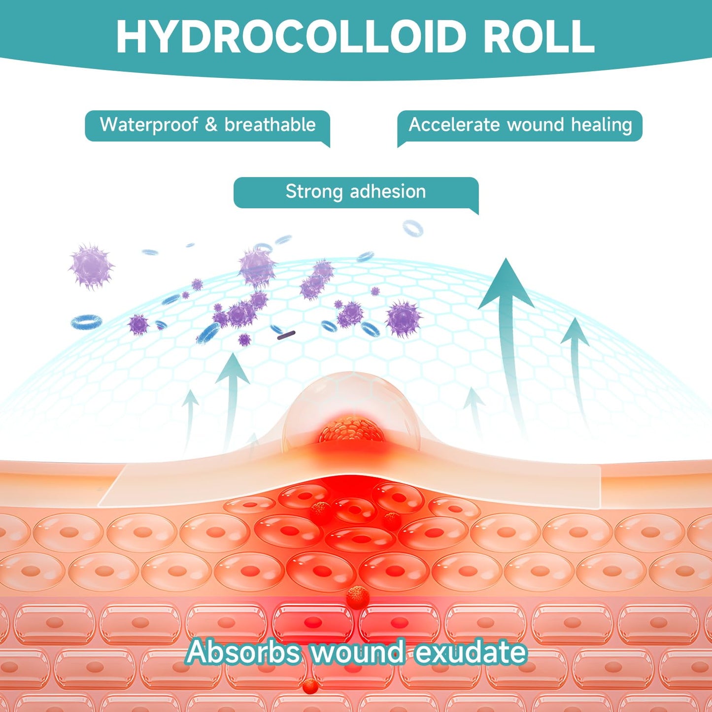 HONKID Hydrocolloid Roll for Wound Care, 2in x 16ft Extra Large Hydrocolloid Bandages, Self-Adhesive, Cut-to-Size, Ultra Absorbent, Flexible & Waterproof, Sterile Foil Pouch, First Aid Kit Essential