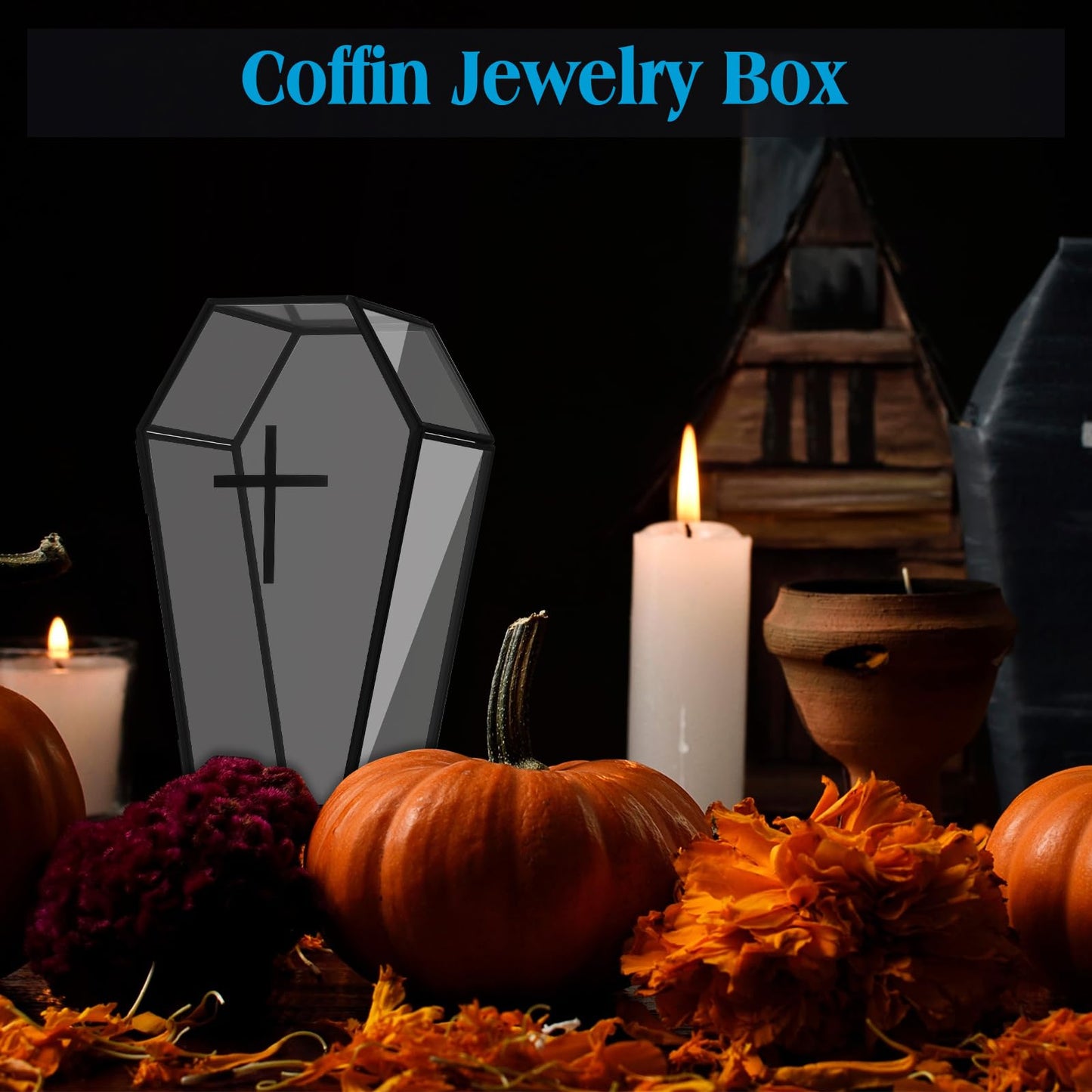 Sasylvia 2 Pcs Glass Coffin Box Coffin Jewelry Box Coffins Terrarium Gothic Jewelry Boxes with Lid Coffins Decoration for Party