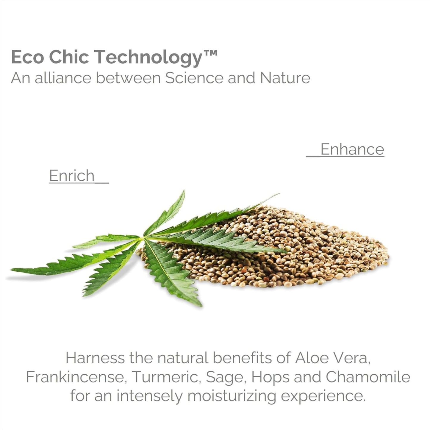 GIOVANNI Hemp Hydrating Shampoo - Natural, Hemp Seed Oil, Aloe Vera, Frankincense, Botanical Extract, Moisturize & Revitalize Da