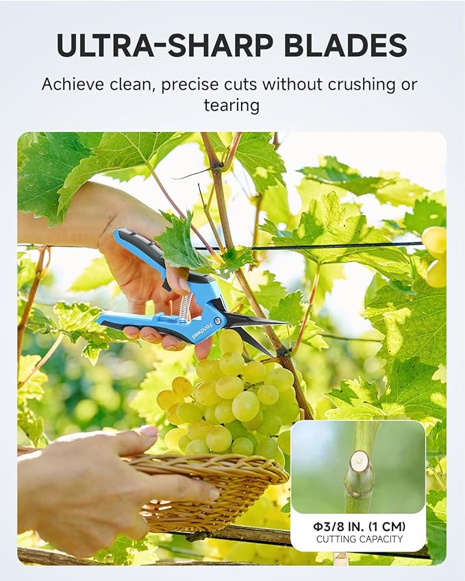 Fondwell 6.5" Pruning Shears Garden Trimmer: 2 Pack of Mini Garden Scissors for Pruning Small Plants, Trim Buds, Pick Fruits, and More