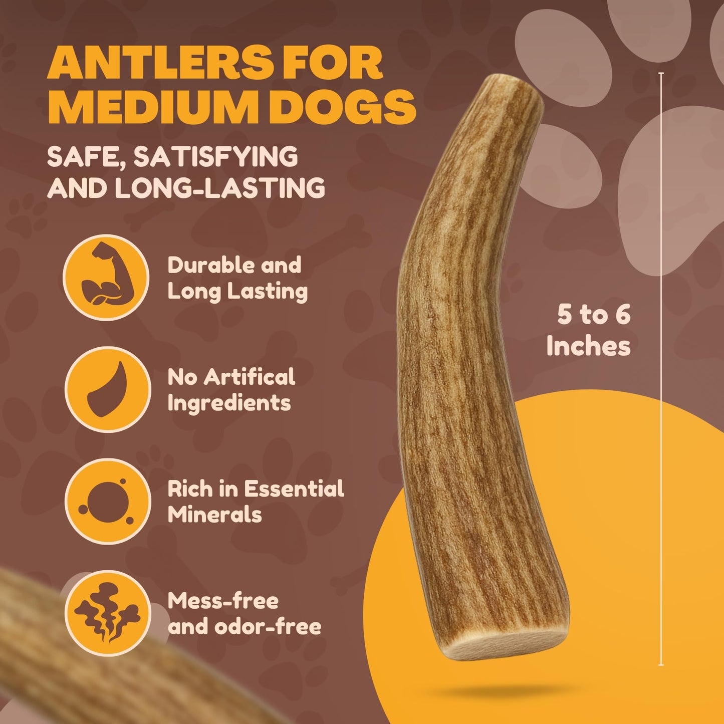 Whitetail Naturals - 3 Pack Medium - Deer Antler Dog Chews - Antlers for Medium Dogs - Long Lasting, Naturally Shed Antler Dog Bones