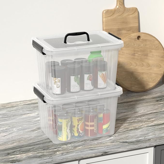Obstnny 20 L Plastic Storage Box with Handle, 4-Pack Clear Latching Storage Bin
