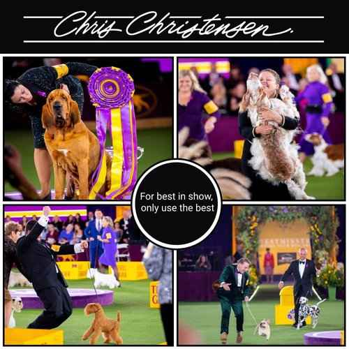 Chris Christensen Shampoo & Conditioner 16 oz Bundle - White on White Shampoo + Ice on Ice Detangling Conditioner + Ice on Ice Detangling/Finishing Spray, Groom Like a Professional, Made in USA