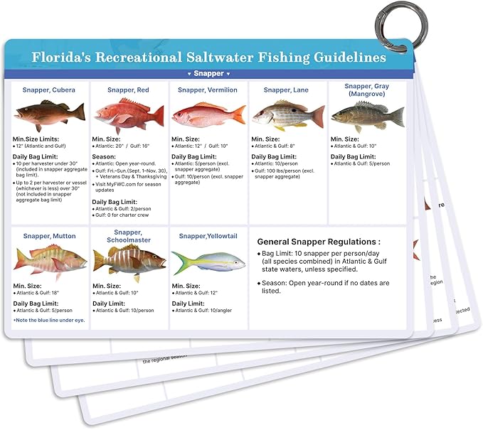 OCQOTAT Florida Saltwater Fish& Shark Identification Set–4 Double-Sided Waterproof Quick-Reference Fishing Guide Cards wit...