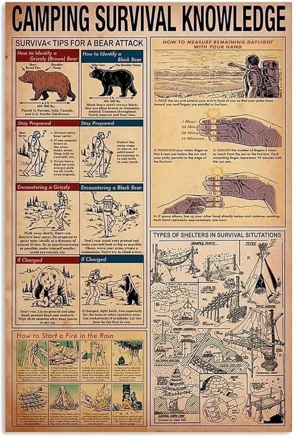 Camping Survival Knowledge Metal Signs Aluminium Poster Surviva Tips For A Bear Attack Home Bedroom People Cave Bathroom L...