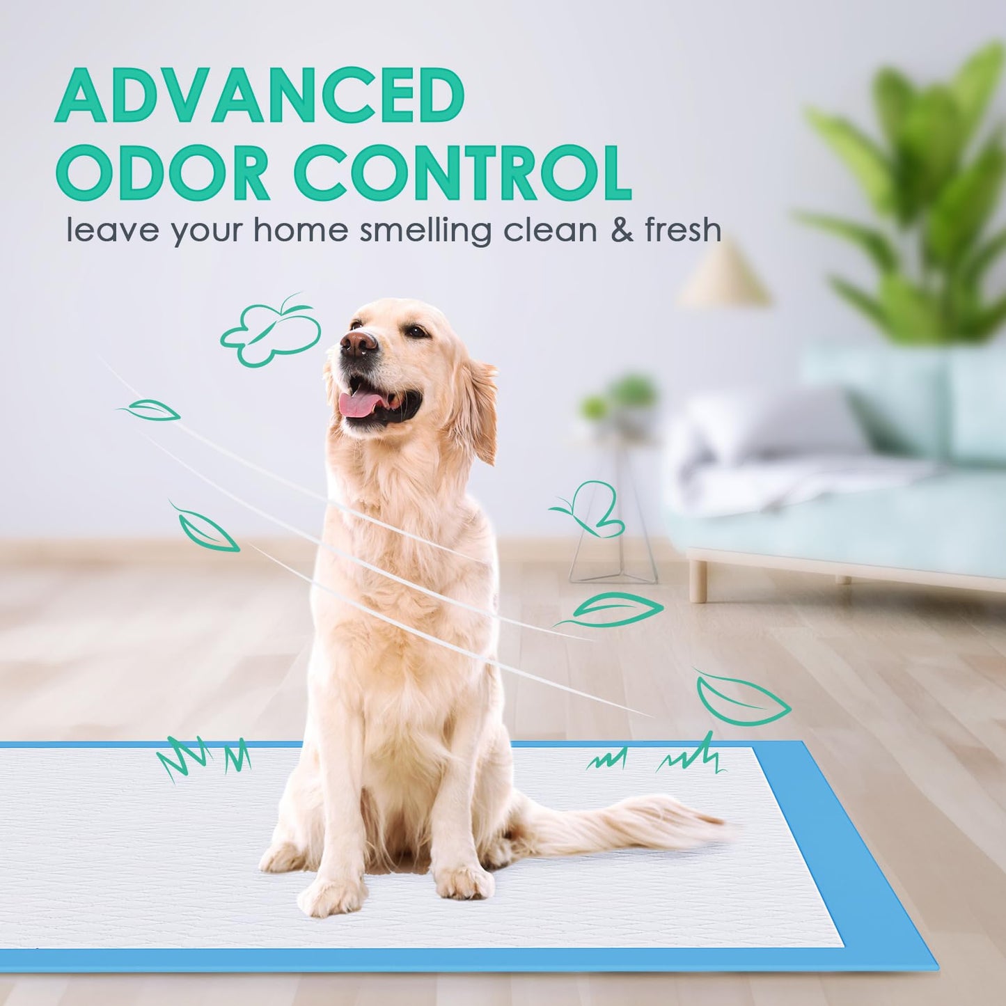 JollyMate Dog Pee Pads Extra Large 36"x36", X-Large Puppy Training Pads with Adhesive Tabs, 6 Layers Thick, Super Absorbent, Leak-Proof, Quick-Dry, Potty Pads for Dogs and Puppies (30 Count)