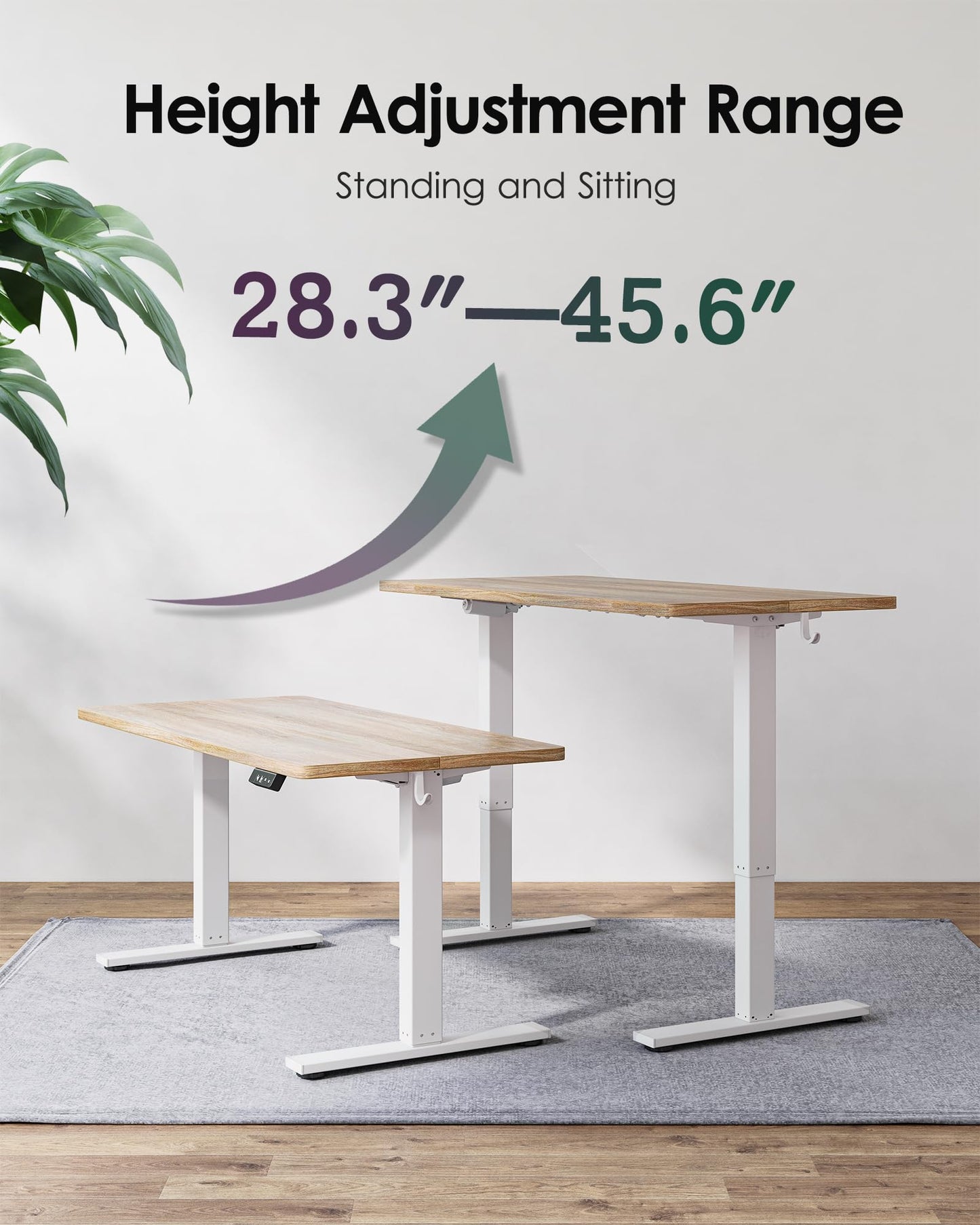TIQLAB Height Adjustable Electric Standing Desk, 55 x 24 inch, Sit Stand Up Desk, Splice Board, Computer Home Office Desk, White Frame/Maple Top