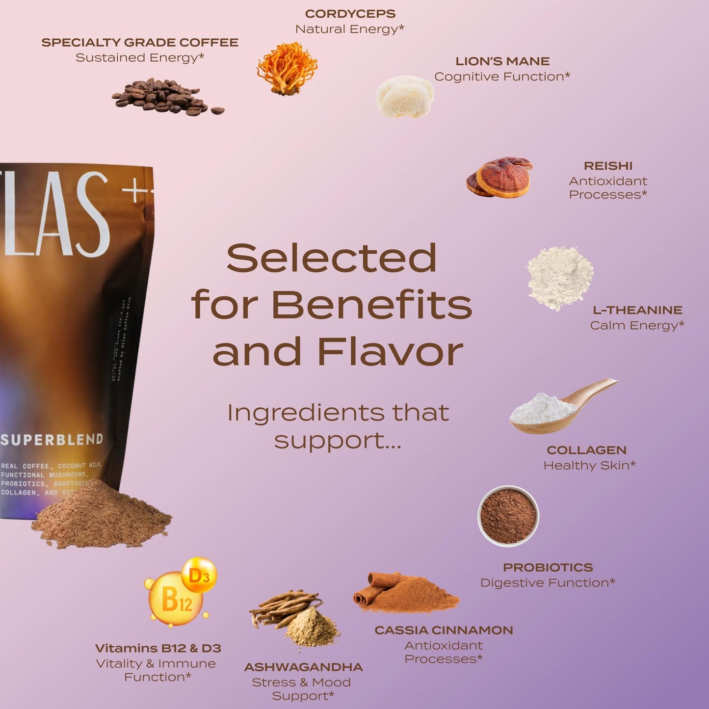 Atlas+ Latte Superblend– Premium Mushroom Coffee with Collagen, Probiotics, D3 & B12, Lion’s Mane, Reishi, Cordyceps, Coconut– for Energy, Focus, Immunity & Gut Health– 40 Servings (2 Bags)