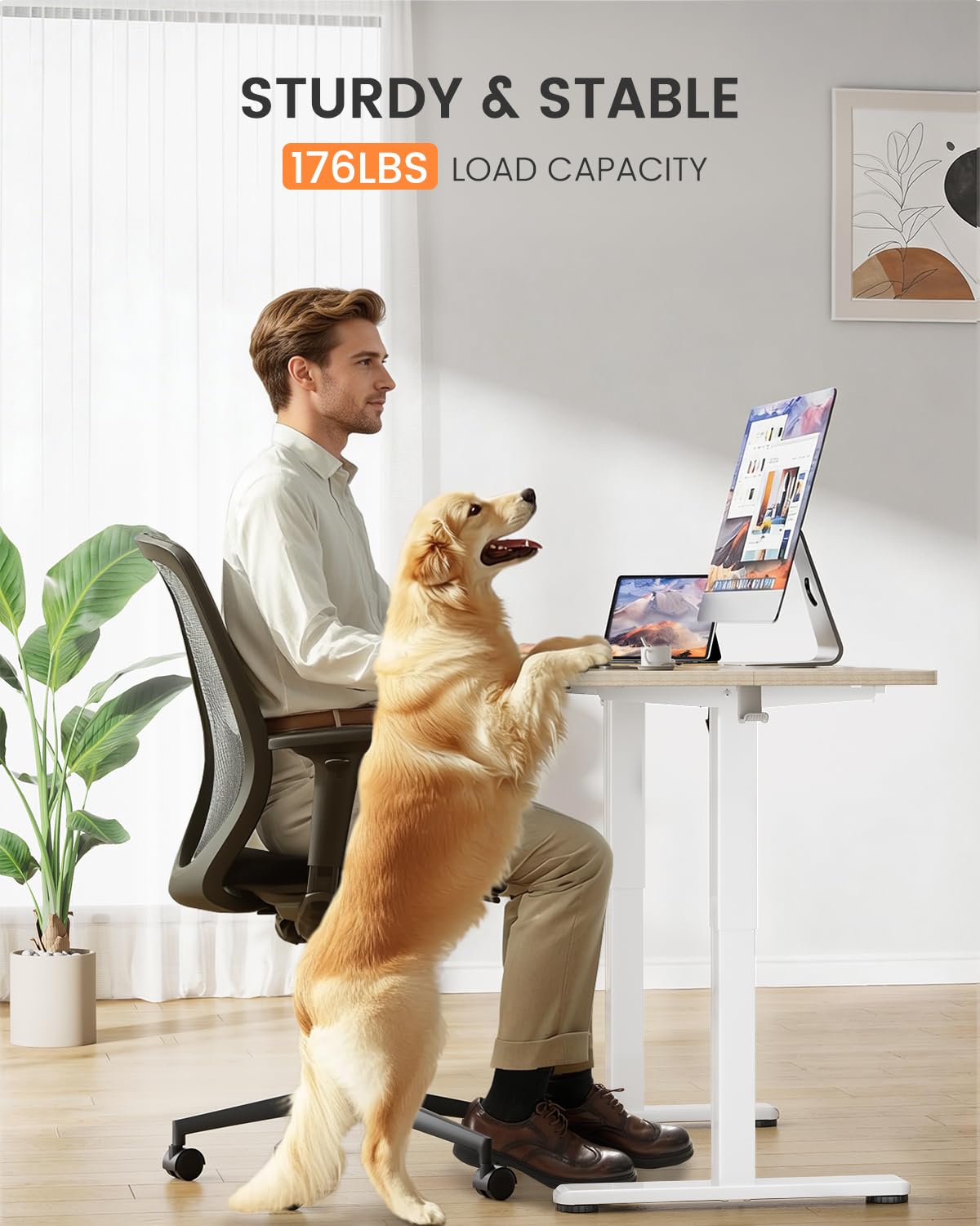 ErGear Low Height Adjustable Desk, Lifts 18.9-28.4 Inches, 35 X 20 Inches Electric Standing Desk for Kids, 4 Height Memory Settings & Storage Hooks, Home Office Computer Table & Study Desk, Natural