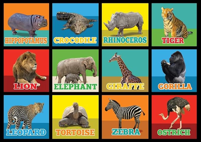 KIDCARPET.COM Animal Picture Squares 6' x 8'6" Rectangle Area Rug, Educational Classroom Rug, Kids Learning Play Mat | Area Rug for Bedroom or Playroom