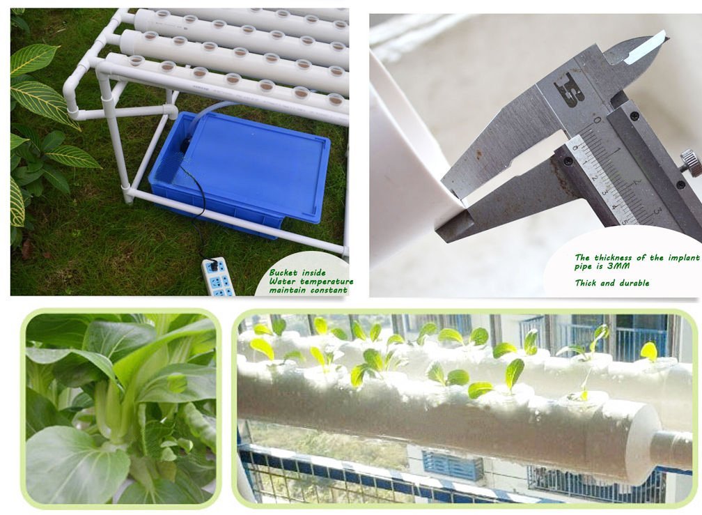 INTBUYING Hydroponics Growing System 72 Holes 8 Pipes 1 Layer Plant Site Grow Kit Hydroponic Gardening System with 110V Water Pump, Nest Basket, Sponge for Leafy Vegetables