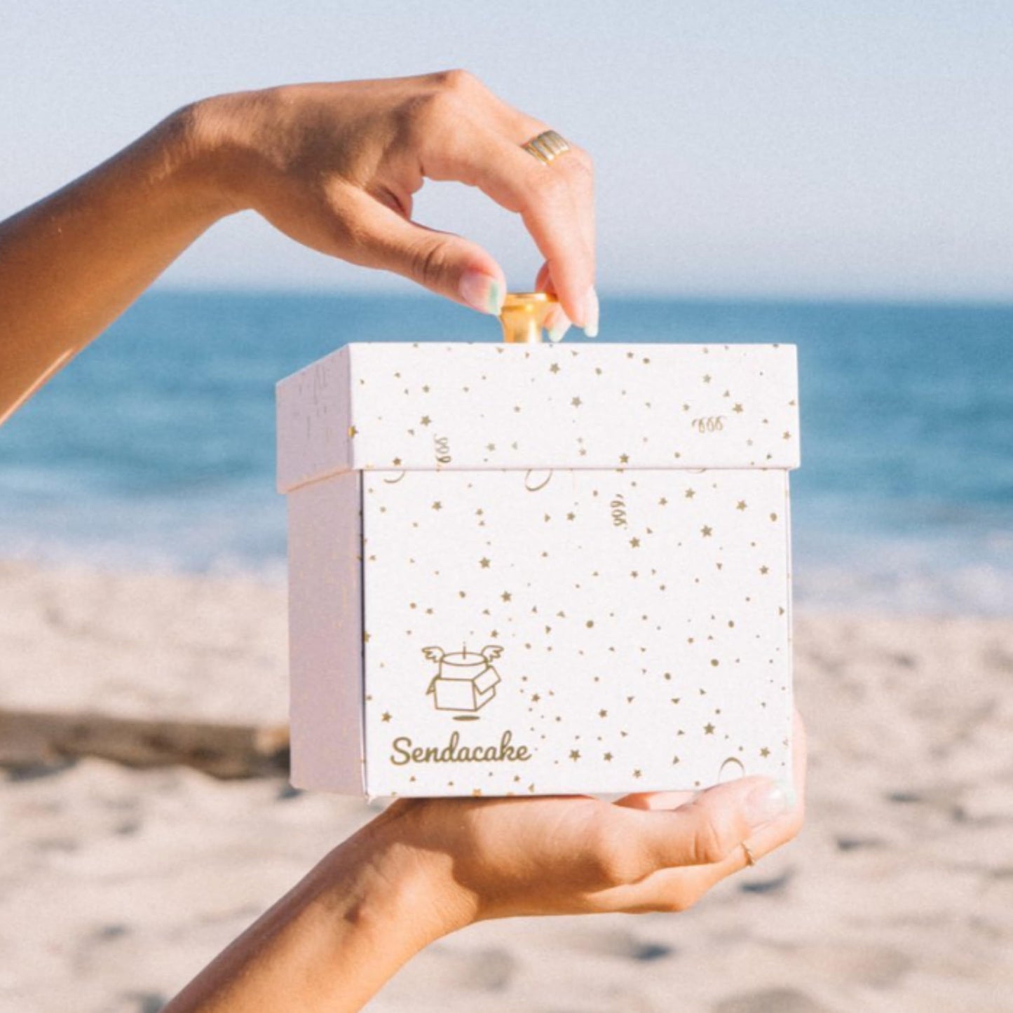 Celebration Explosion Box by Send A Cake, Ready to Gift, No Assembly Required with Flying Butterflies, Flower Shower & 3" Chocolate Chip Mini Bundt Cake – Unique Birthday Gift for Women, Men, Adults, Kids