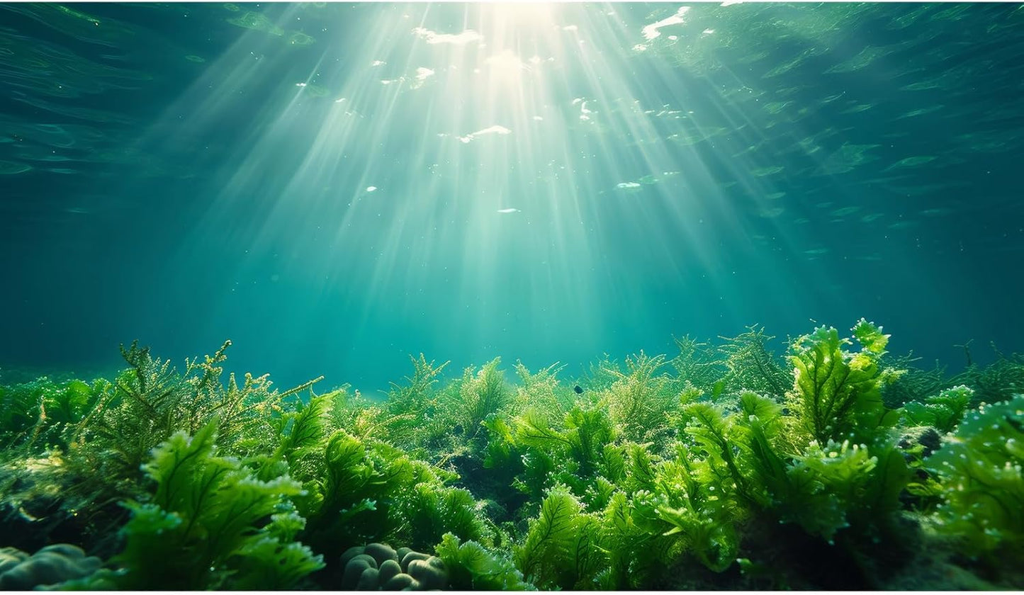 Deep Ocean Fish Tank Background Under The Sea Aquatic Plants Aquarium Background Underwater Corals Sunray Terrarium Backgrounds Tropical Fish Ocean World Aquarium Backgrounds Decorations 48x18in