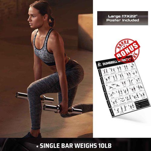 LIONSCOOL 16"/20” Loadable Dumbbells Pairs in Commercial Grade, Heavy Duty Olympic Dumbbell Bar/Handle for Strength Training, Compatible with 2’’ Standard Plates (Silver Chrome, 16 INCH)