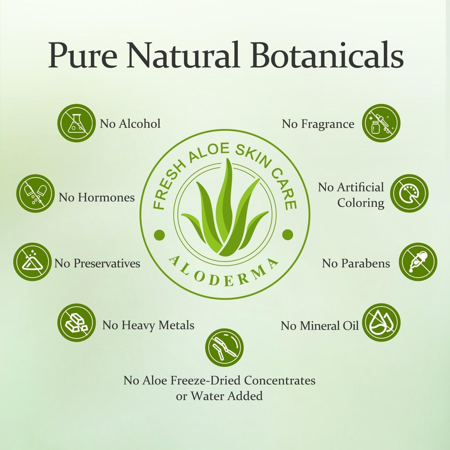 Aloderma Oil Controlling Shampoo Made with Freshly Harvest, Organic Aloe Vera for Oily Hair & Scalp - Infused with Tea Tree Oil