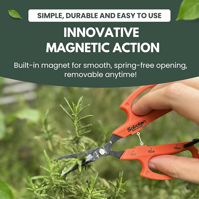 Saboten 6.3" Japanese Harvesting Shears, Magnetic Springless Assist, Fine-Tip Angled Blade, Fluorine-Coated Stainless Steel, Ergonomic Non-Slip Grip, Safety Lock, Made in Japan