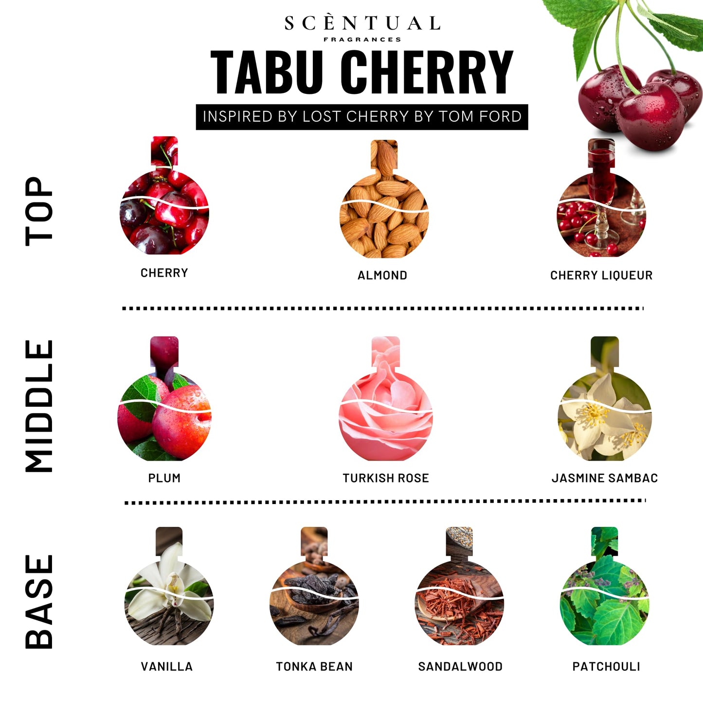 Scentual Fragrances, Luxury Perfume Oil, Ultra-Concentrated Women Roll-On Fragrance Oil, Long Lasting Rollerball Travel Mini Perfume, Vegan, Alcohol & Cruelty Free 10ml (Tabu Cherry)