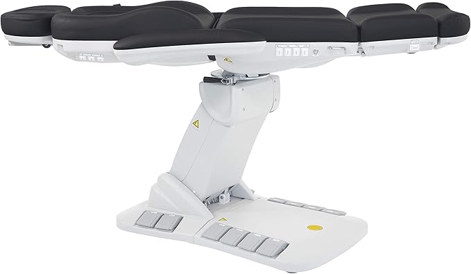 SKINACT Palma Electric Medical Spa Treatment Table (Gray)