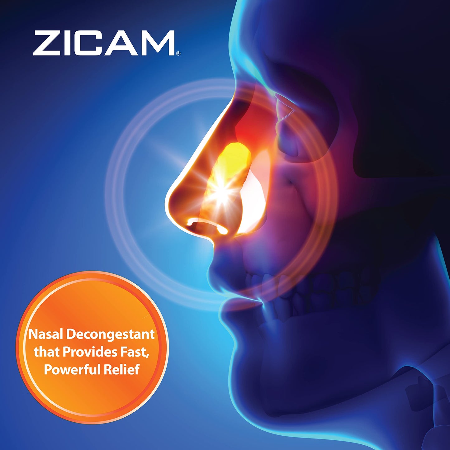 Zicam Extreme Congestion Relief No-Drip Liquid Nasal Spray with Soothing Aloe Vera, 0.5 Ounce (Pack of 2)