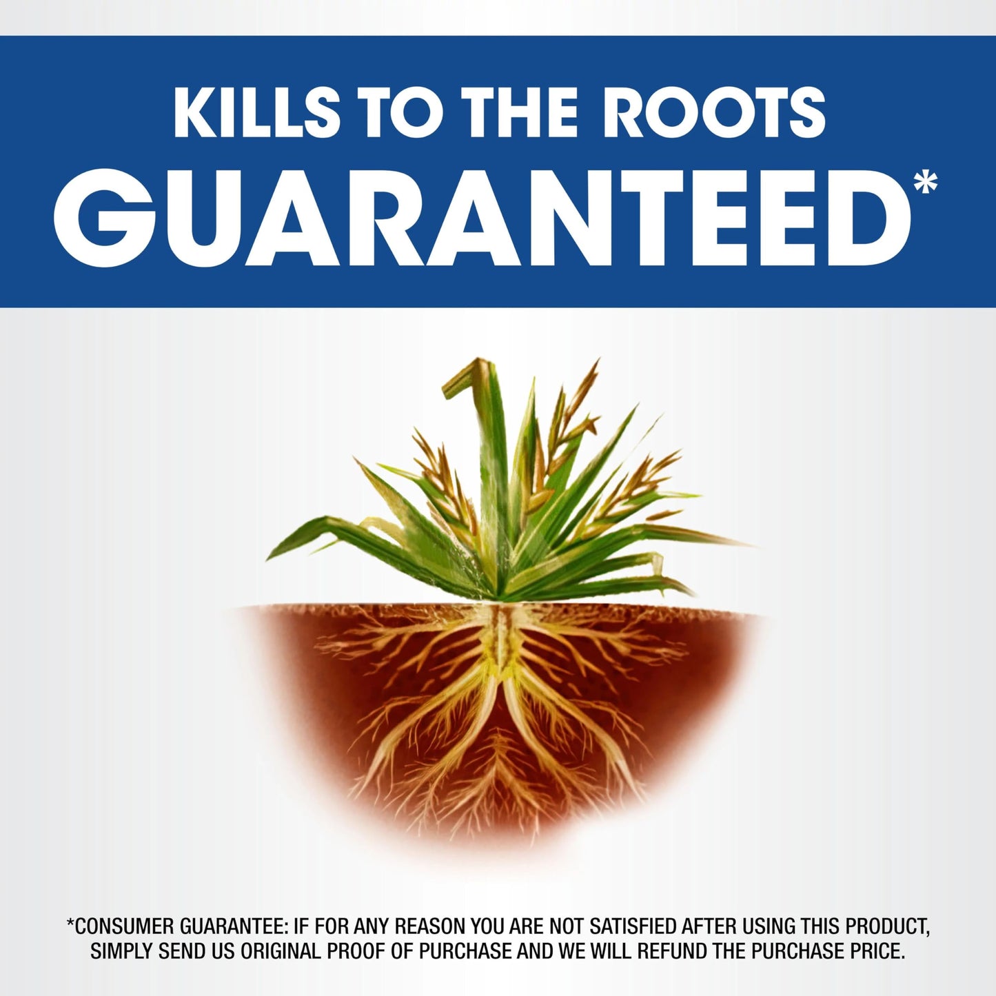 Roundup Weed and Grass Killer₄ Concentrate, Use Around Flower Beds and Trees, on Walkways, and in Other Areas in Yards, 64 fl. oz.