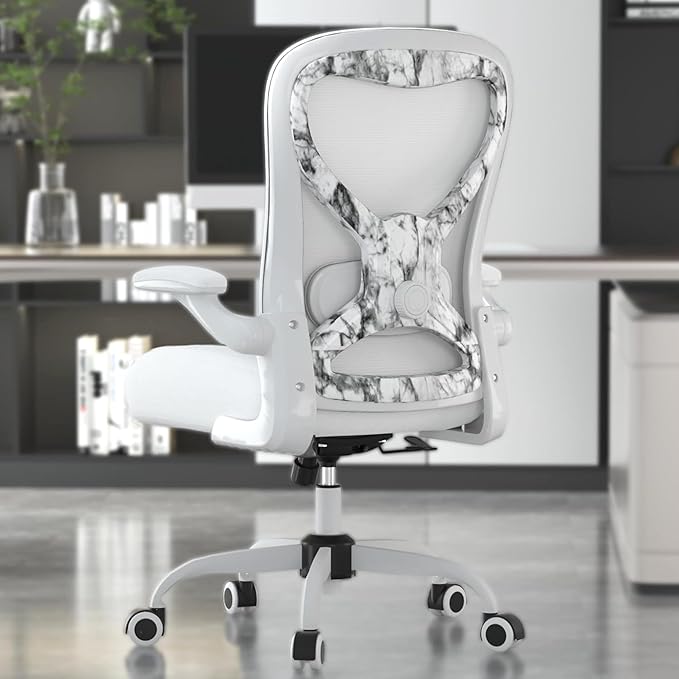 CASASIO Office Desk Chair with Ergonomic Lumbar Support, Extra-Thick Seat Cushion, Flip-up Arms, Breathable Mesh Back, Computer Task Chair for Home Office