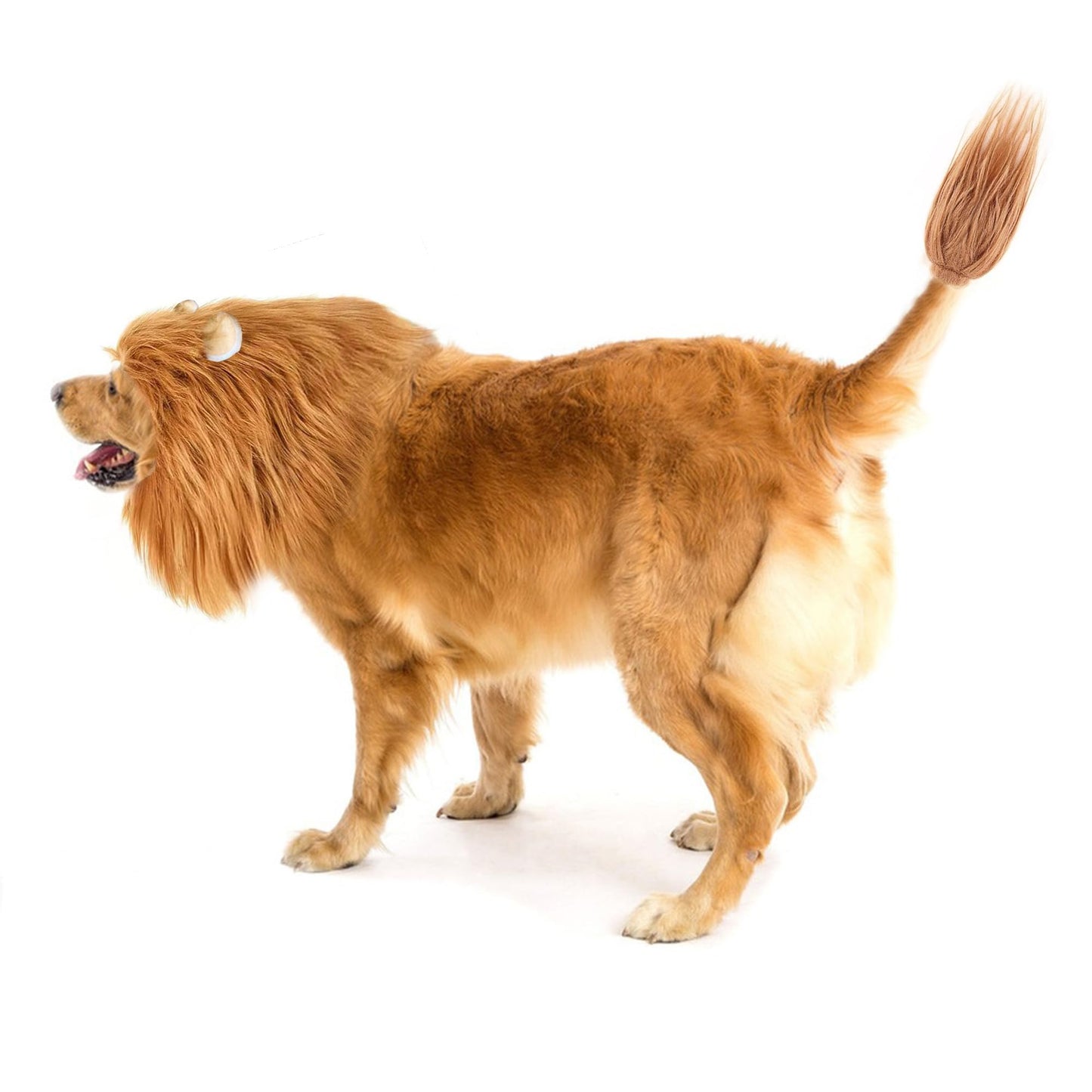 HOKABLE Lion Mane Dog Costume for Medium & Large Dogs - Realistic Lion Wig - Brown - Size M + Tail Set