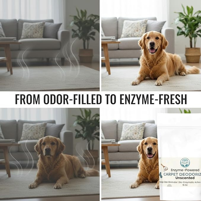 Enzyme-Powered Carpet Deodorizer (Powder) - Unscented | Natural Pet Odor Eliminator | Bio-Enzymatic Formula, Premium Performance, Eco Friendly | 16 oz