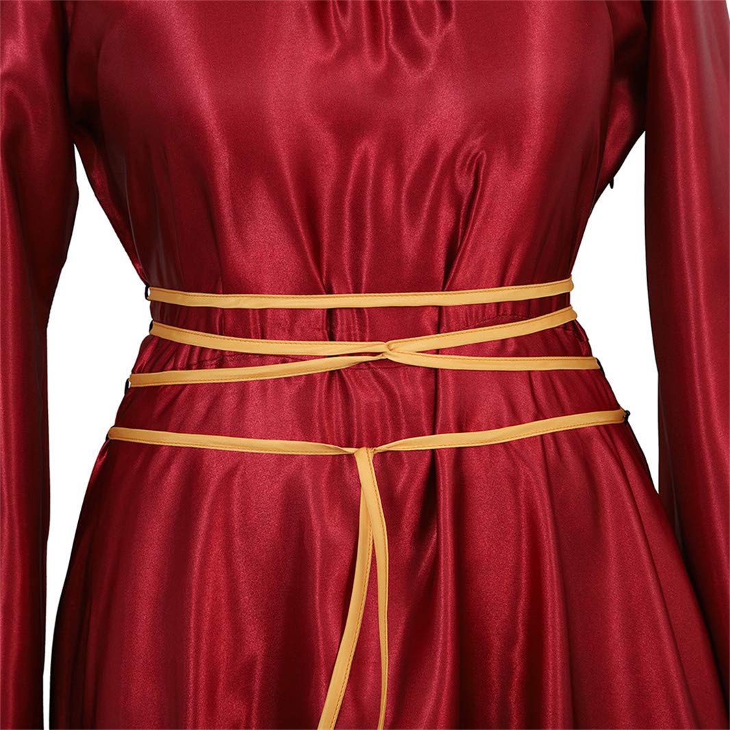 Parlsdy Womens Deluxe Medieval Victorian Costume Renaissance Long Dress Costumes Irish Over Cosplay Retro Gown Wine Red-3XL
