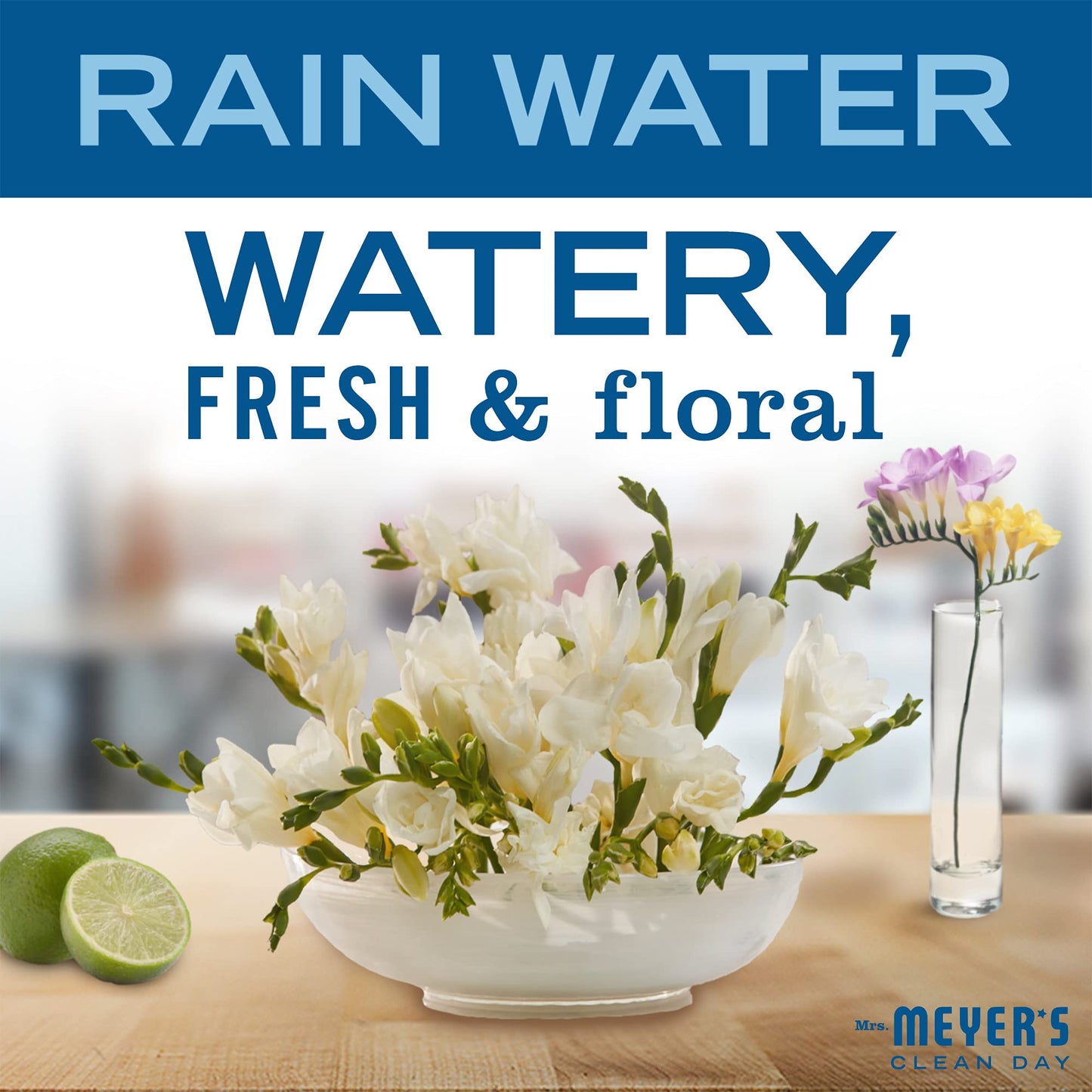 MRS. MEYER'S CLEAN DAY foaming Hand Soap, Rainwater Scent (10 Fl Oz (Pack of 1))