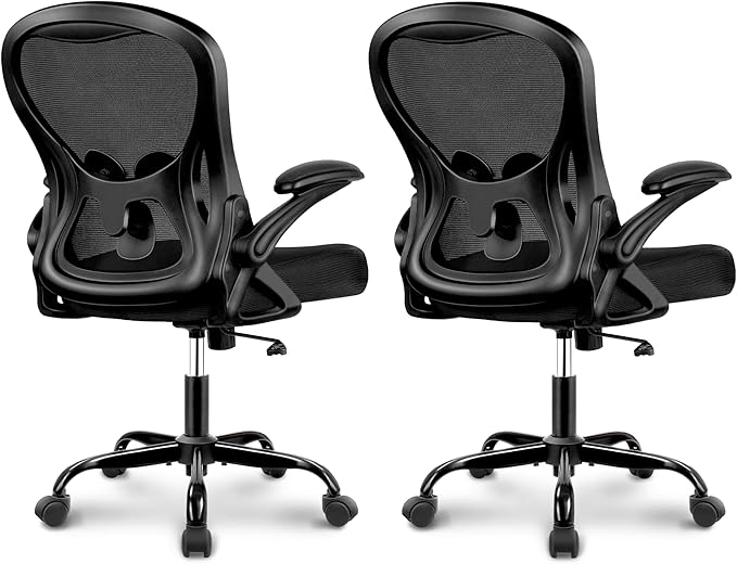 Winrise Office Desk Chair, Ergonomic Breathable Mesh Computer Chair Home Office Desk Chairs with Adjustable Lumbar Support & Flip-up Arms (Black, 2 Pack)