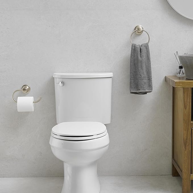 Hoimpro Brushed Nickel 2-Piece Bathroom Bath Set, Wall Mounted Bathroom Hardware Fixture (Towel Ring Holder, Toilet Paper Towel Holder), Bathroom Accessories, Stainless Steel and Zinc Alloy